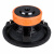 DL Audio Raven 12 DL Audio Raven 12